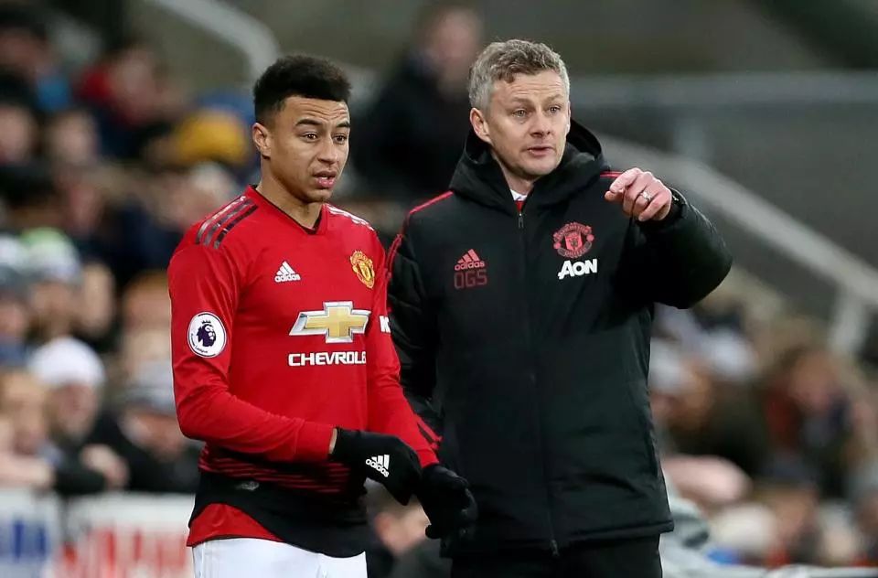 利亚带来了 利亚带来了